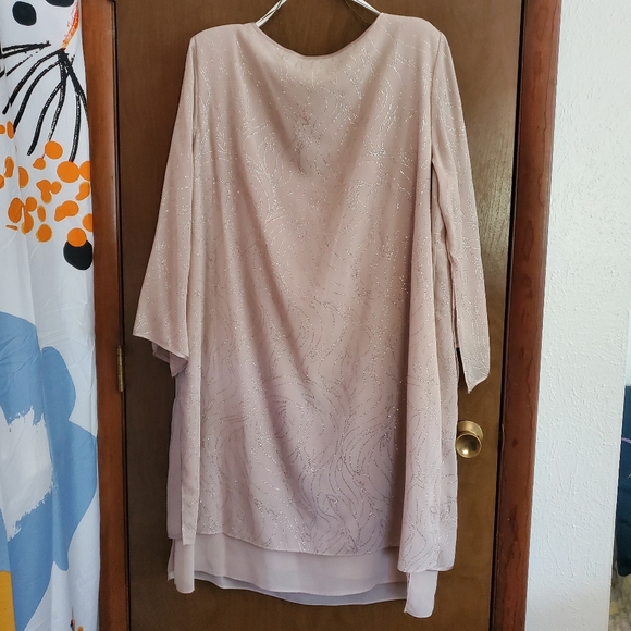 Dana Kay Tan Nude Cream Dress w/ Overlayer - Picture 5 of 5